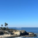 미르빌힐링타운 | 샌디에고 여행 일정 코스 추천 날씨 la에서 샌디에이고 가볼만한곳 맛집 la 근교 투어