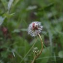 도담도담어린이공원 이미지