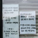 더반 힐 글램핑 | 서울근교글램핑 보령 사람은 무조건 더반힐글램핑 으로 감