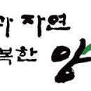 양평헬스투어 협동조합