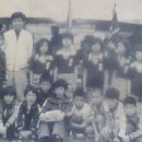 흥왕초등학교 Daum카페