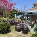 엄니밥상 이미지