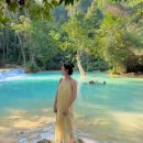 유연농장 | 라오스 루앙프라방 여행 꽝시폭포 단독 프라이빗 투어 선택한 이유 후기