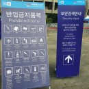 (주)연합세이프티 | 포뮬러 E 서울 -잠실종합운동장 관람기