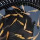 에스엔알(SNR) | 김해 SNR 방문 후기