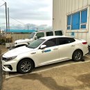 ㈜제주아산렌트카 | 🚗 제주 렌트카 추천! 반려동물 동반 가능 &amp; 합리적인 가격까지? 제주아산렌트카 이용 후기