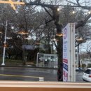 천제연로 이미지