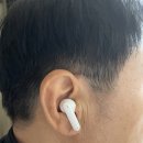 303 | 픽스 팟 X4 블루투스 이어폰 XWS-303 실사용 후기