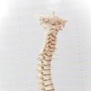 맑은숲예인한의원 이미지