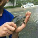 남부슈퍼 이미지