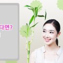 선릉역영이네