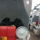일토농장 | 2019년 6월, 7월 일상 (그 여름 늦은 기록)