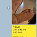 레더체인지 이미지