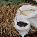 미애농장 이미지