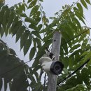 태양광CCTV 건설현장 설치의무화 규정!T-CCTV 태양광 무선 렌탈 시공후기