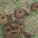 389회 당첨풀이 모음입니다. 07. 16. 18. 20. 23. 26. (03) 이미지