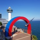 그린라인 이미지