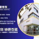 손대하 동물병원 이미지