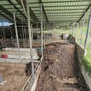 스카이 태양광발전소 이미지