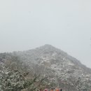 해강화원