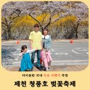 청풍초등학교 | 2026 제천 청풍호 벚꽃축제 후기 주차 실패 안 하는 방법 + 포토존 추천