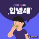 보미퍼스트치과 네이버블로그