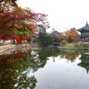 향원조경