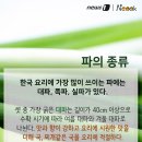 파 이미지