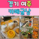 귤낭귤낭 | 여주 카페 추천 제주 감성 가득한 카페 귤낭 방문 후기