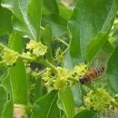 광용농장 이미지