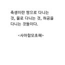 초해 - 옹진군 | 초해