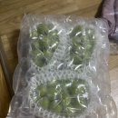 엘지농원 이미지