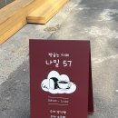 나일57 이미지