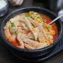양지 | 제주 현지인도 줄 서서 먹는 바로 그곳! — 산지해장국 완전 정복 가이드