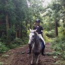 승마클럽 영풍 | 나의 버킷리스트 [제주 외승] 드디어 제주 외승하다 ! 옷귀마테마타운 1:1 승마교육+외승 2시간 후기