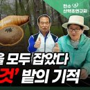 건강과 맛을 모두 잡았다! 1만 평 '이것' 밭의 기적 이미지