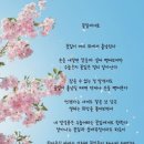 카인드 베이프