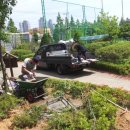 서흥초교 이미지