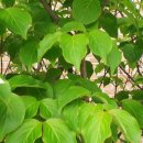 부천자동차검사정비 이미지