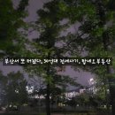 부산진구-38 이미지