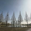 살고싶은동네경로당 | [안산 가볼만한곳] 안산호수공원 벚꽃 산책｜살고 싶은 동네 후기