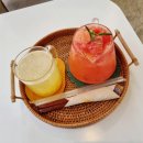 카페;489-11