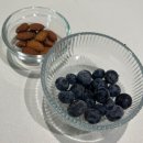 [생과일급 퀄리티!] 웰루츠 A등급 냉동 블루베리 1kg × 2팩 솔직 후기🍇 요거트토핑·스무디 필수템!