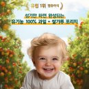 주-지니킴 | [3차 공구 오픈] 오가닉스 포리지 & 과일 퓨레 💌 아기 간식, 간편 한끼 강추템