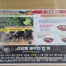 마이산휴게소 | [진안/마이산휴게소] 진안마이산휴게소에서 만난 진안콩순두부짬뽕 후기