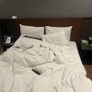 아르반시티호텔 | 부산 아르반 시티 호텔 스탠다드 더블룸 내돈내산 주차장, 화장실 방문 후기