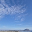 모이세해장국모슬포점 | [제주] 제주 혼여 후기 2일차(모이세해장국(모슬포)-송악산-올레10코스-차돌집-해녀잠수촌)