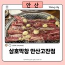 3851 | 안산고잔동고기집 삼호막창 고잔점｜한우막창 한우대창이 맛있는 고잔동막창맛집 후기