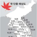 주루루