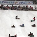 우치흑염소 이미지